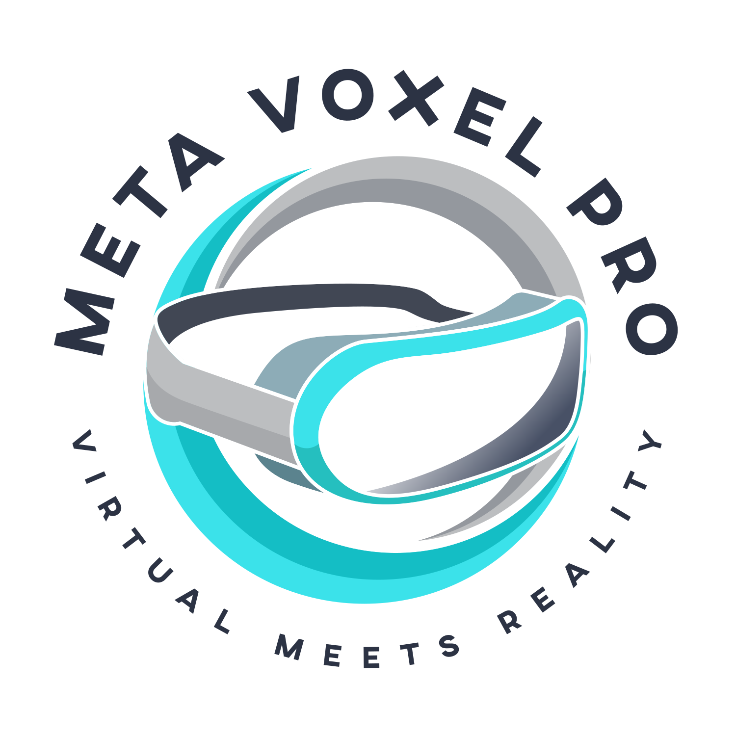 MetaVoxelpro_FullLogo_Transparent